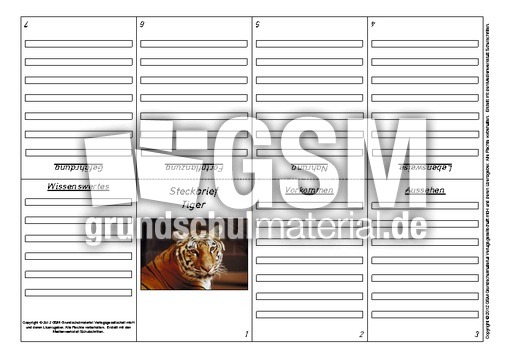 Faltbuch-Steckbrief-Tiger-1.pdf